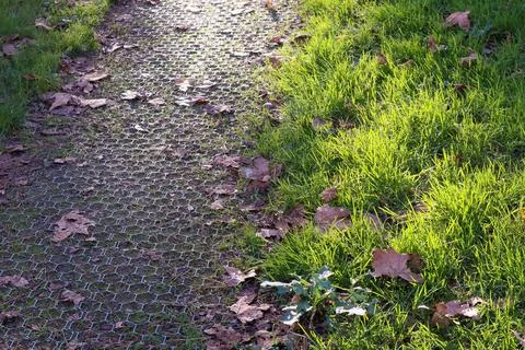 Path of hexagonal grid bordered by green grass 写真素材
