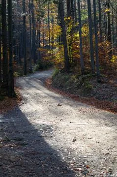Path for hiking Stock Photos