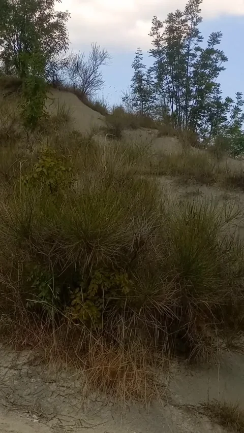 A path on the hill Stock Footage 289229307