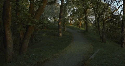 Path to the hill, trees and a small asphalt road at sundown. Video stock 94688354