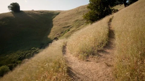 A PATH ON A HILLSIDE Stock Footage
