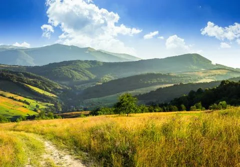 Path on hillside meadow in mountain Stock-Fotos