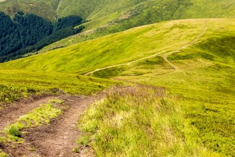 Path on the hillside Foto stock