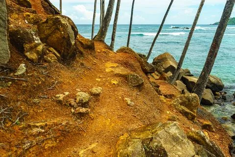 Path on a hillside with rocks and palm trees on the seashore Stock Photos