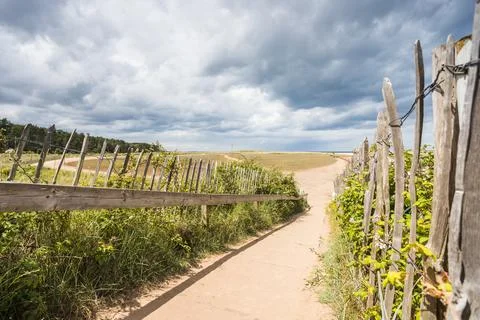 Path to Holkham beach Stock Photos