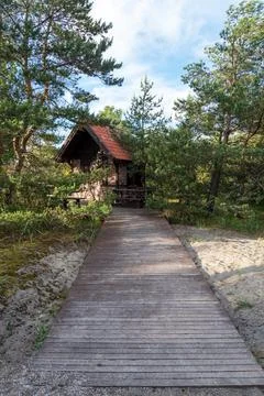 The path to the house in the forest. Stock-Fotos