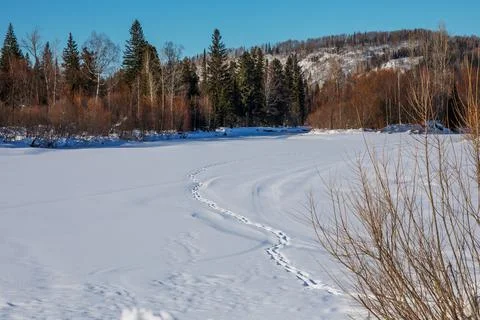 Path of human footprints on the flat surface of a frozen river. Stock Photos