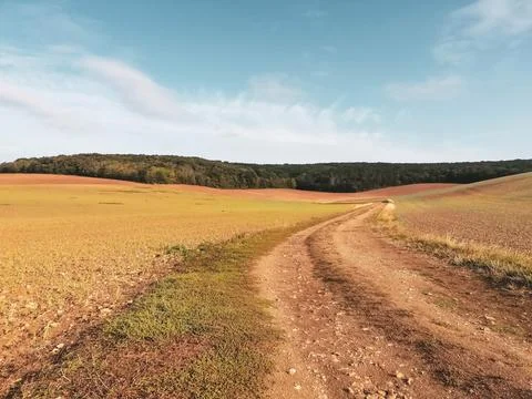 Path III Stock Photos