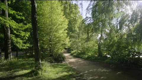 Path illuminated with a beautiful morning light at the Tete d'Or Park in Lyon Stock Footage 158431453
