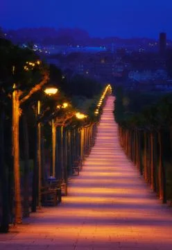 Path illuminated with lampposts at night Stock Photos