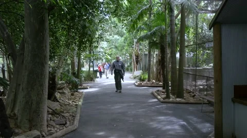 Path Inside Featherdale Wildlife Park, Sydney, Australia Stock Footage 158919454