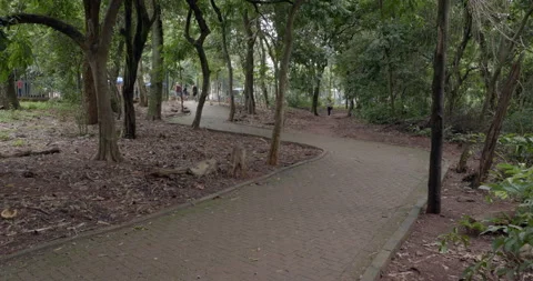 Path inside the public park Parque Areiao in Goiania, Brazil 스톡 동영상 303847298