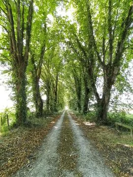 Path IV Stock Photos