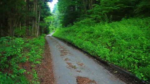 The Path of Jiz_ Pass 库存影片 330495386