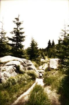 Path in Jizerske mountain Stock Photos