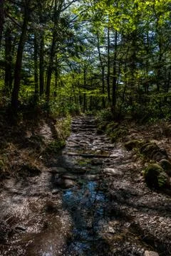 Path in Kamikochi Stock Photos