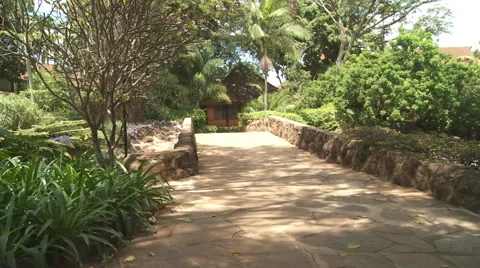 Path in Kenya Vidéo 57222328