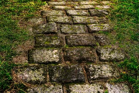 Path laid with bricks leading somewhere Stock-Fotos