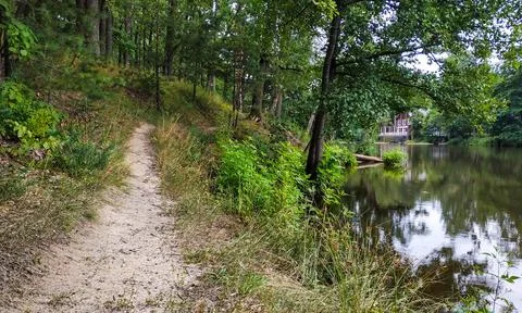 Path on the lake shore Stock Photos