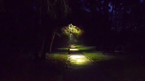 Path with lamps photographed at night Stock Footage 167552609