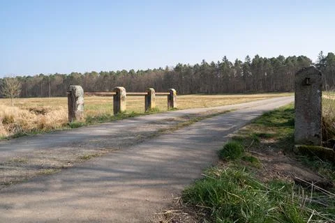 Path in the landscape with grass and trees on a sunny day in spring Stock Photos
