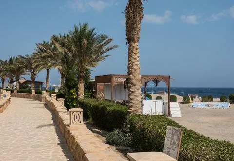 Path with lantern and palm trees at the beach with blue sky Stock Photos