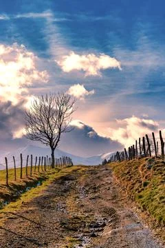 The path - Le chemin 写真素材