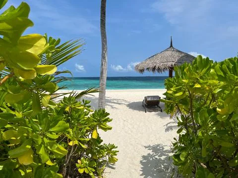 Path leading to the beach Stock Photos