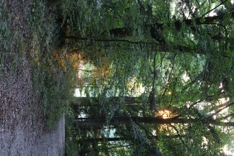 Path leading down a hill. Stock Photos