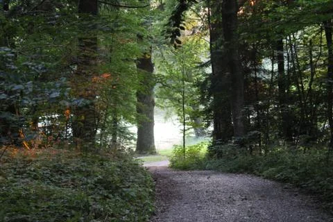 Path leading down a hill. Stock Photos