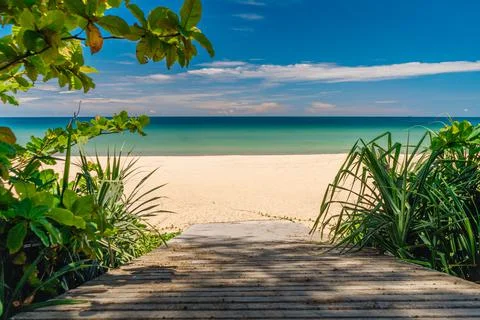 Path leading down to tropical beach trough bushes on sunny summer day. Summer Stock Photos