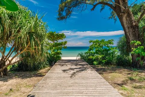Path leading down to tropical beach on sunny summer day. Summer vacation and Stock Photos