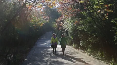 Path Leading to the Great Wall of China Stock Footage 170515277