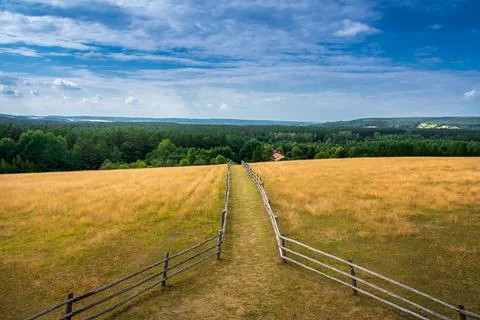 Path leading to the hill with the lookout tower. Wooden fence. Stock Photos