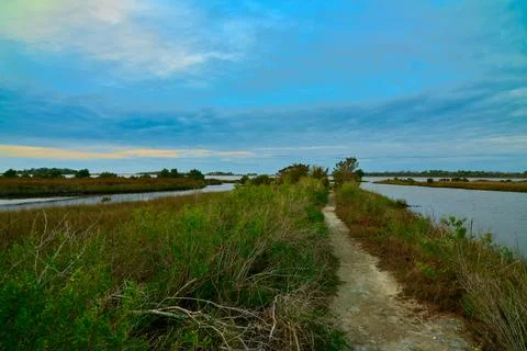 Path leading to inlet at Shell Mound Campground near Cedar Key, FL. Stock Photos
