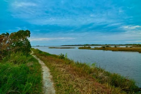 Path leading to inlet at Shell Mound Campground near Cedar Key, FL. Foto stock