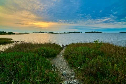Path leading to inlet at Shell Mound Campground near Cedar Key, FL. Foto stock