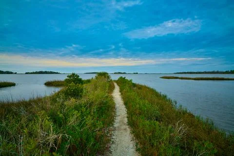 Path leading to inlet at Shell Mound Campground near Cedar Key, FL. Foto stock