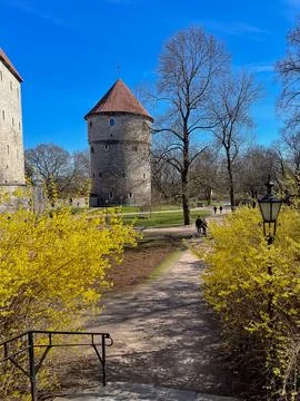 Path leading to medieval tower with red roof in Tallinn Old Town Stock Photos