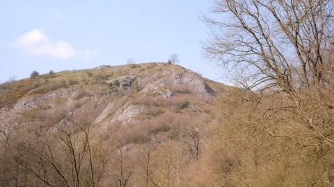 Path leading to the mountain overgrown with trees in a blue sky background. Stock Footage 106776932