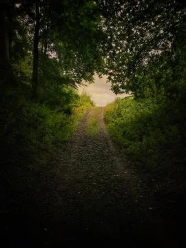 A path leading out of the forest into the light Stock Photos