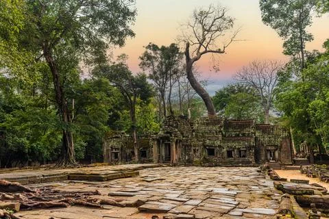 Path Leading to Ta Prohm Temple at Sunset near Siem Reap, Cambodia Stock-Fotos
