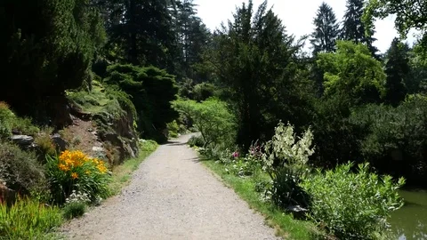A path leading through a botanical park. 動画素材 91382713