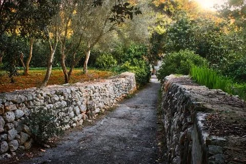 A path leading through the forest with stone walls on either side Stock Photos