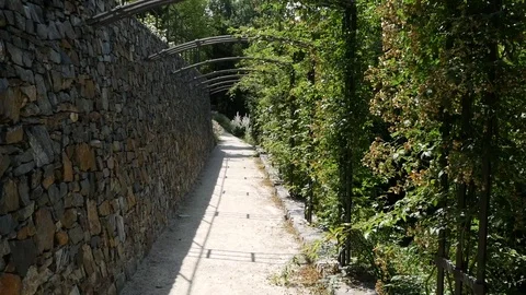 Path leading through the garden arcade. Stock Footage 91382587