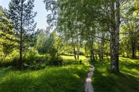 Path leading through the park on a summer day Stock Photos