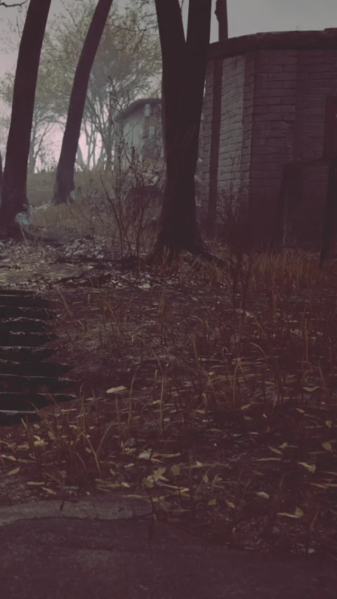 Path leading through trees in a forest with old buildings in the distance Stock Footage 338414504