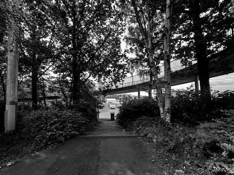 A path leading under a curving walkway Stock Photos