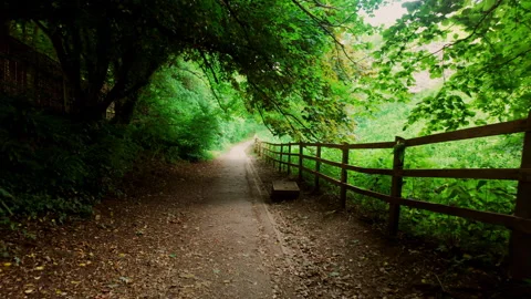 Path leading under trees with a wooden fence on the side. Stock Footage 293677045