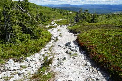 Path leads to a impressive mountain landscape. Stock Photos